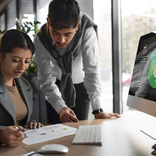 Program Management & Implementation Support